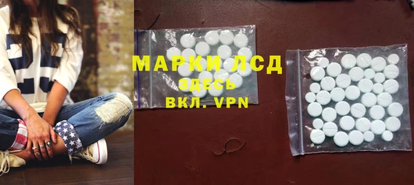 дмт Богданович