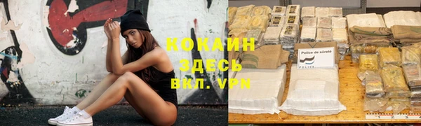 дмт Богданович