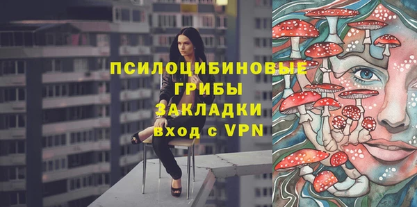 ПСИЛОЦИБИНОВЫЕ ГРИБЫ Белокуриха