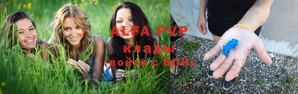 ПСИЛОЦИБИНОВЫЕ ГРИБЫ Белокуриха
